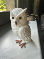 IMG_3841.jpeg IMG_3841.jpeg
